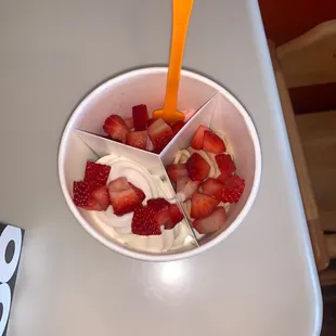 Frozen yogurt