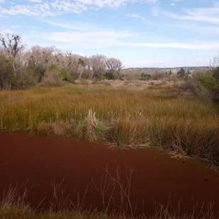 Pond on Willow Creek