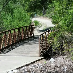 Small wooden bridge crossing Willow Creek