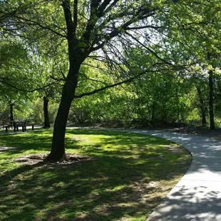 Trail connecting to Phillip C. Cohn Park