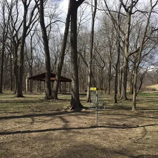 Hole number 4, looking north