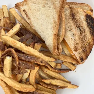 Grille Cheese and Fries