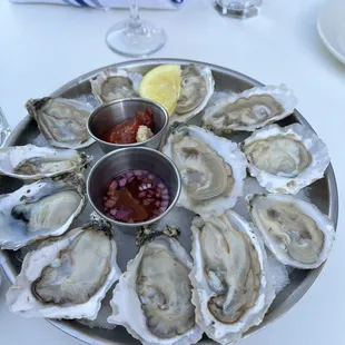Oysters