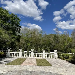 a view of a garden with a stone walkway
