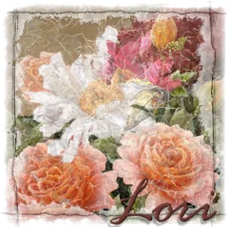 Lori H.