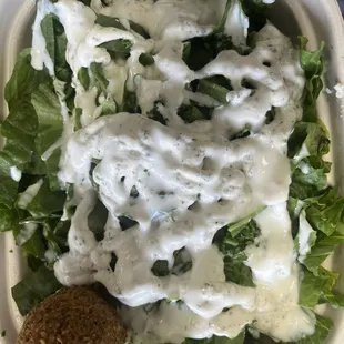 Bowl with falafel, rice, chicken, various veggies with tzatziki and garlic sauce