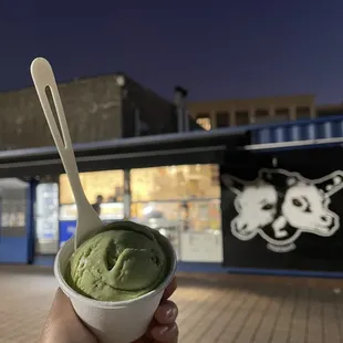 Matchadoodle Ice Cream