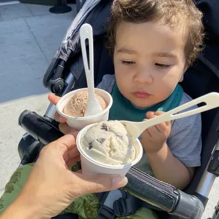 Malted Milk Chocolate Ice Cream