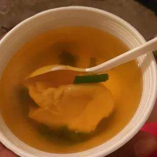 Wonton Soup