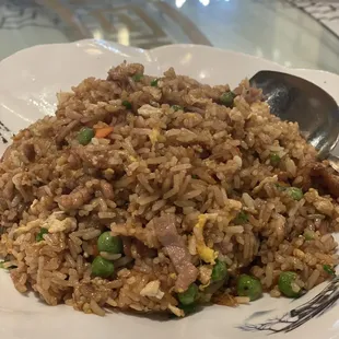 Beef fried rice $14.85