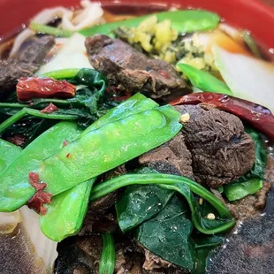 Beef Noodle Soup