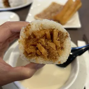 Sticky Rice Rolls