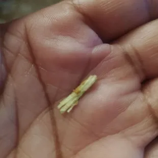 What is this in my rice?