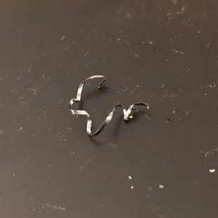 Found this in my shrimp lo mein