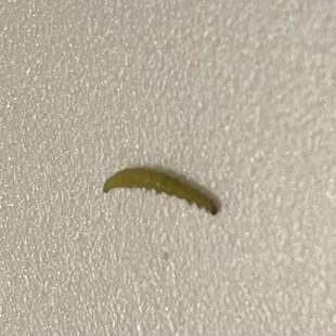 Worm found in the mushroom chicken