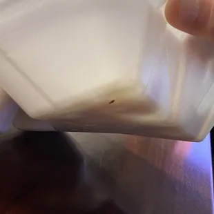 Lol just trying to get a picture this little bastard was fast