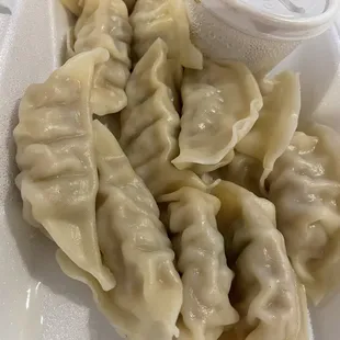 Fried or Steamed Dumpling