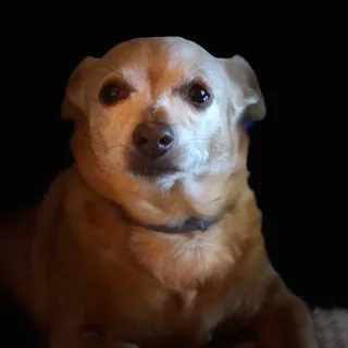 Jr. L.