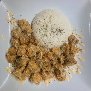 a plate of food with rice and meat