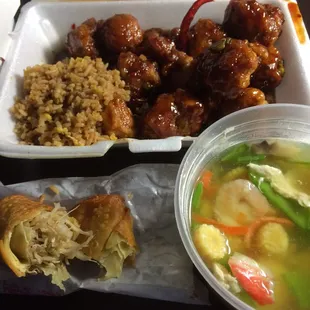 General Tso's and Shan Shan soup Takeout