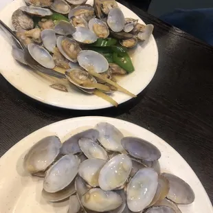 We thought we had a good amount of steamed clams when they came out. The amount of empty shells we got mixed in was astounding.