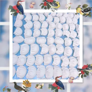 House made dumplings