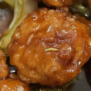 Maggots in 230. Hunan L'rose Seafood Pot