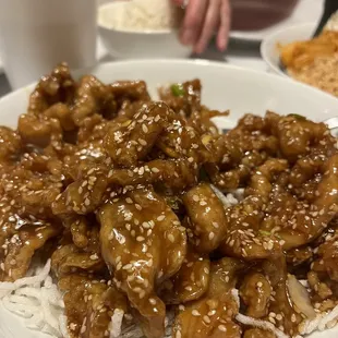 Hunan Lion