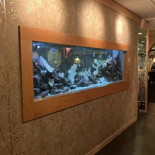 a fish tank in a restaurant
