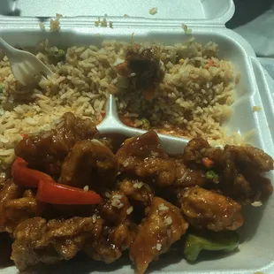 "Not white meat" General Tso chicken. It was tough and primarily breading. The rice was the highlight.