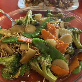 Vegetable Pan Fried Noodles