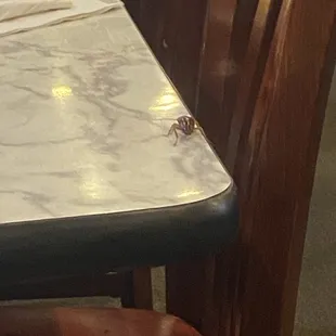 Cockroach on the table...... 3 workers saw it and did nothing. All the customers got up paid and left.