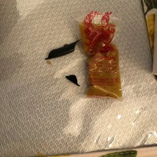 The shards of plastic . The small one was in my mouth .