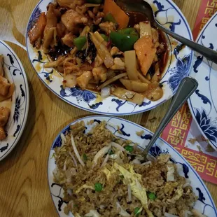 Garlic chicken and Chicken fried rice