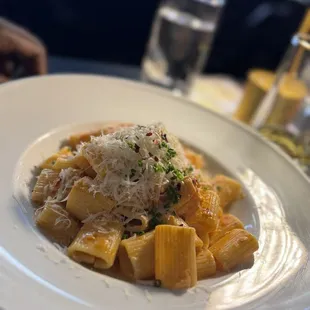 Spicy Lobster Rigatoni