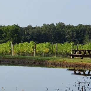 a picnic table in the middle of a pond