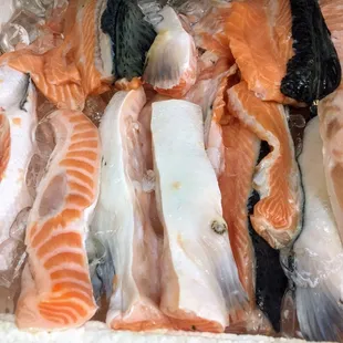 Salmon Belly