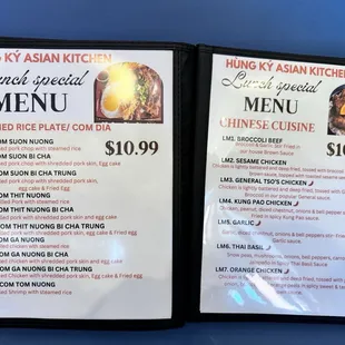 weekday lunch special $10.99