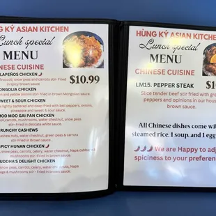 weekday lunch special $10.99