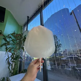 Cotton Candy