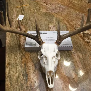 They can get this done for you at a good price. I love it