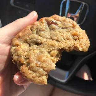 Famous oatmeal walnut raisin morsel of deliciousness