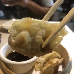 Beef Gyoza