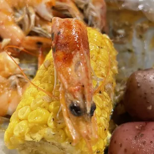 Shrimp steamed pot, do you suck de heads or leave 'm