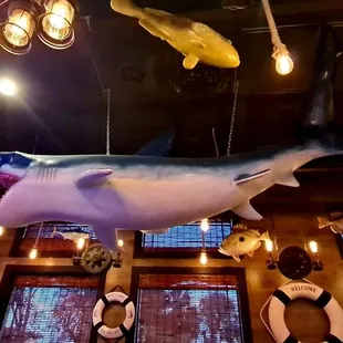 a shark and other fish hanging from the ceiling
