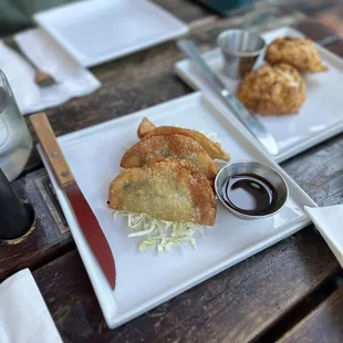 Fried Dumplings Lunch