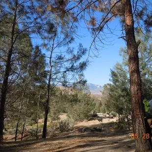 Hungry Gulch Campground