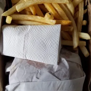 Chili Cheeseburger and fries