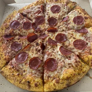 Large 1-Topping garlic crust