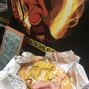 a person holding a hot dog